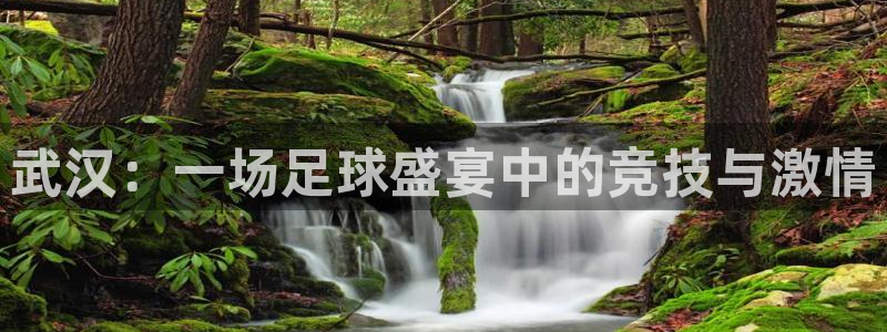 vsport体育平台：武汉：一场足球