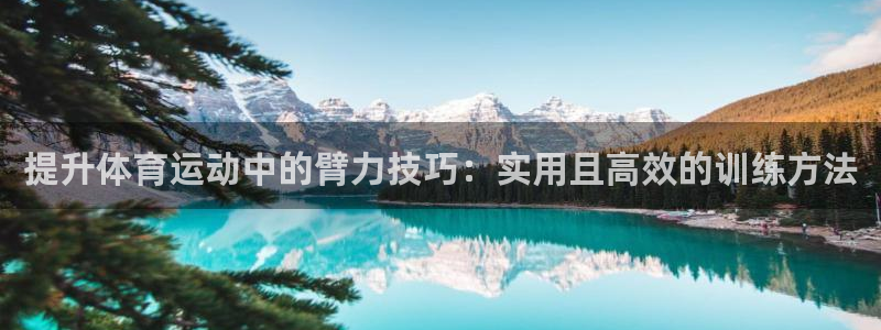 77体育官网：提升体育运动中的臂力技巧：实用且高效的训练方法