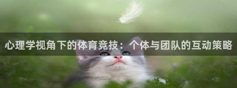77体育：心理学视角下的体育竞技：个体与团队的互动策略