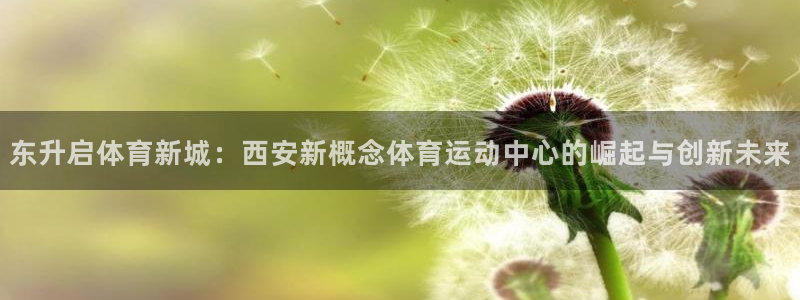 77体育app下载官网：东升启体育新城：西安新概念体育运动中心的崛起与创新未来