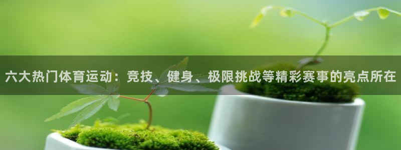 77体育官网：六大热门体育运动：竞技、健身、极限挑战等精彩赛事的亮点所在